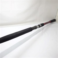 ０６アナリスターヤリイカ２１０